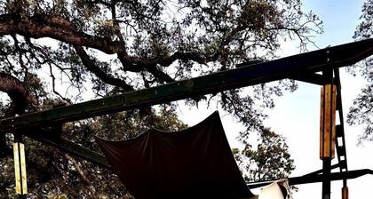 Cute, Lakeside Glamping Bell Tent + Amenities, Wheatland, California