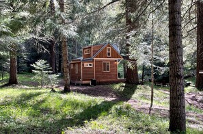 Una cabaña de madera rodeada de árboles en un bosque.
