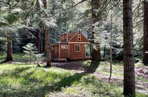 A wooden cabin surrounded by trees in a forest.
