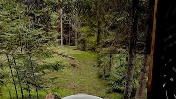 A person relaxing in a bathtub outdoors surrounded by trees.