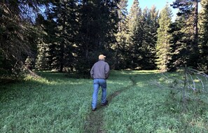 Une personne se promène dans un espace verdoyant, avec des arbres en arrière-plan.