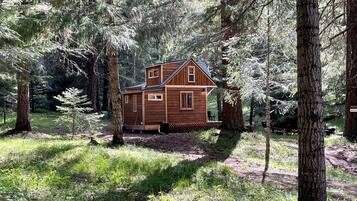 Una cabaña de madera rodeada de árboles en un bosque.