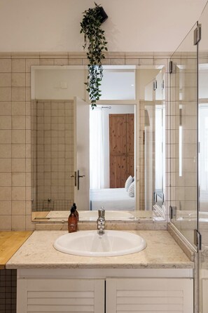 A bathroom with a white sink, a mirror, and a hanging plant.