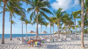 A beach with rows of palm trees and beach chairs, a wooden table, and umbrellas. - 3-bedroom condo in enchanting Cancún with fitness room, AC (Cancún)