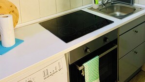Una cucina moderna con piano cottura integrato, lavello e un piccolo vaso con pianta sul bancone.