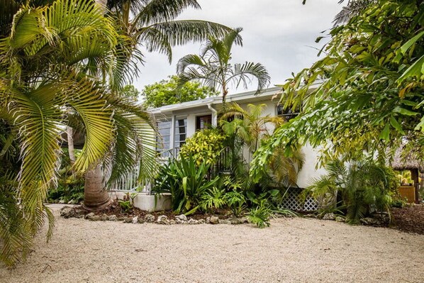 A house surrounded by lush tropical vegetation, including palm trees and various plants.
