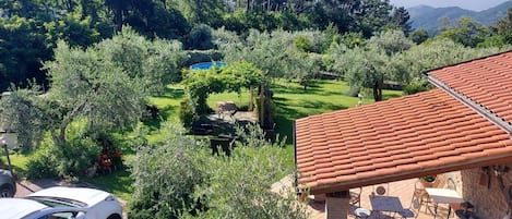 تناول الطعام بالخارج