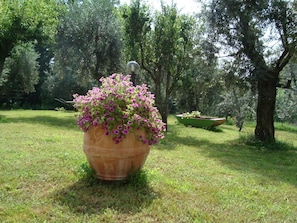 Una maceta grande de terracota con flores rosadas en un área exterior con césped, árboles y un bote verde al fondo.