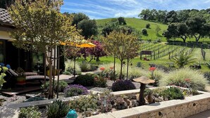 A landscaped garden with a stone retaining wall, various plants, and a pergola with umbrellas.