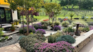 A landscaped garden with various plants and a stone bench.