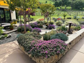 Área da propriedade