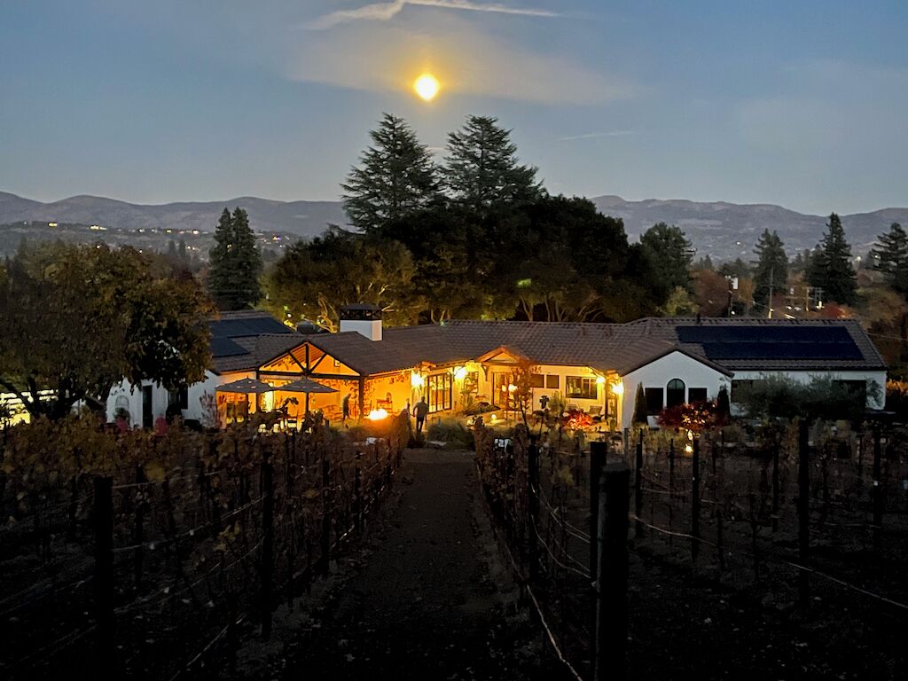 Ein Weinberg mit Reihen von Weinreben und einem Gebäude mit Schrägdach.