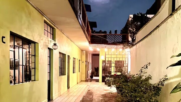Un patio estrecho con suelo de baldosas, un pequeño jardín con plantas en macetas y un edificio con varias ventanas y puertas.