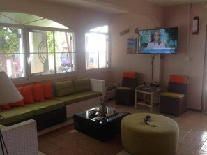 Televisión 