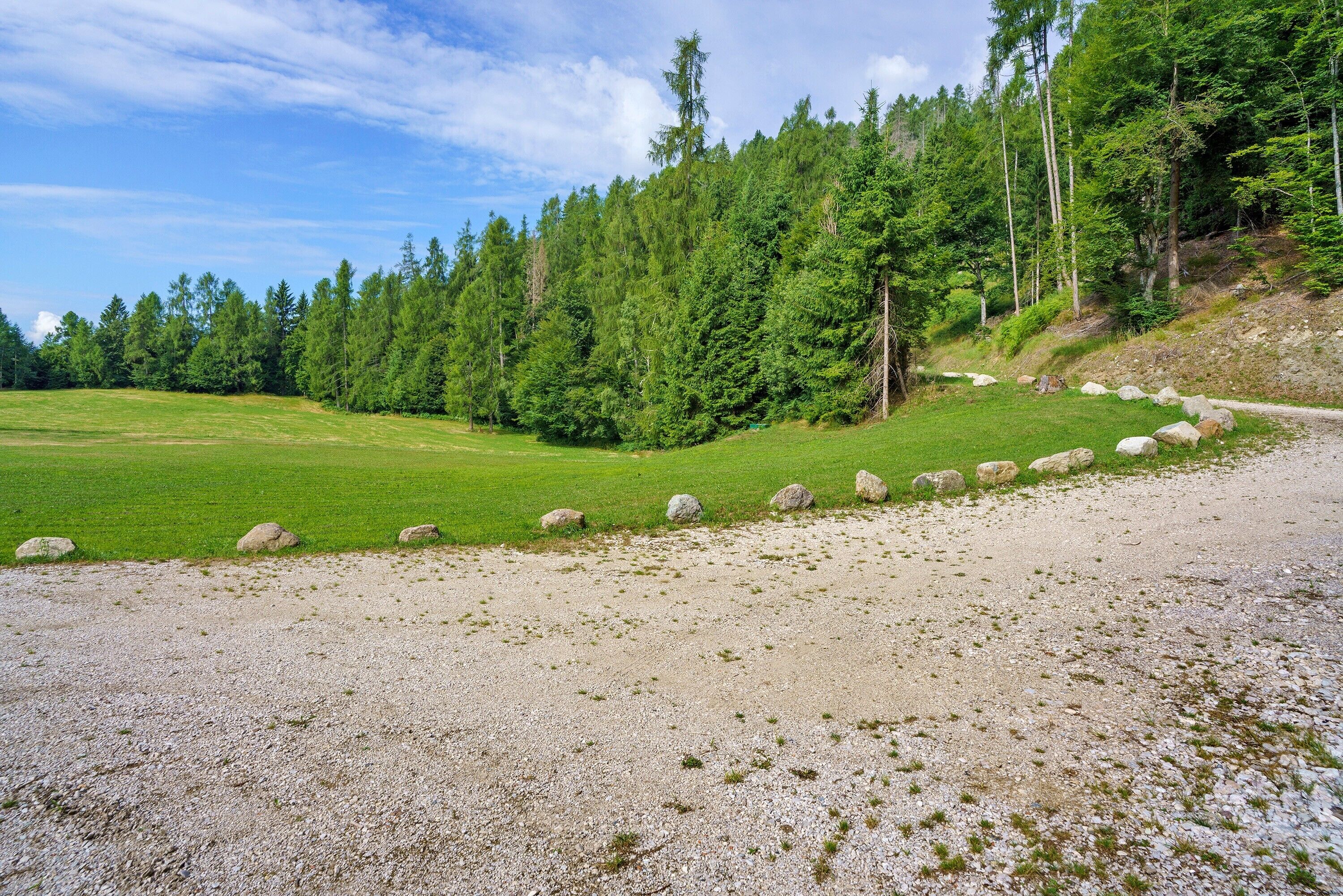 Un sendero de grava que conduce a una zona cubierta de césped con rocas dispersas, rodeado de árboles verdes y frondosos.