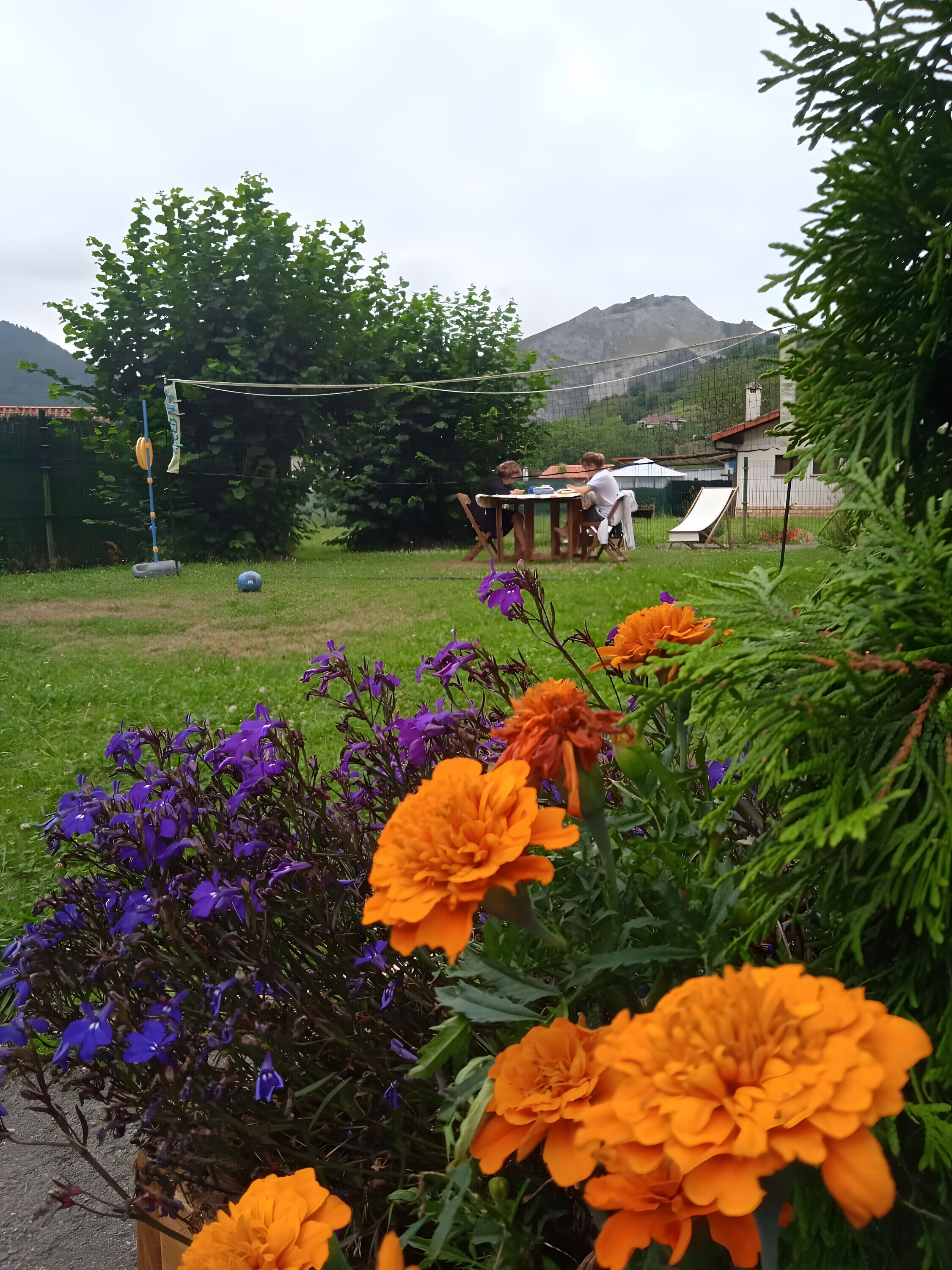 تناول الطعام بالخارج