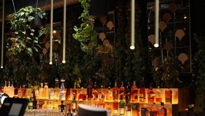 Eine Bar mit Regalen voller Spirituosenflaschen, hängenden Pflanzen und Barhocker.