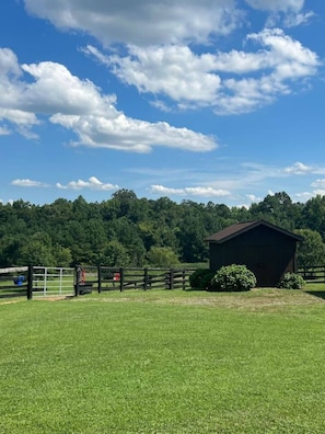 A fenced pasture with a small wooden building, a gate, and a clear blue sky.