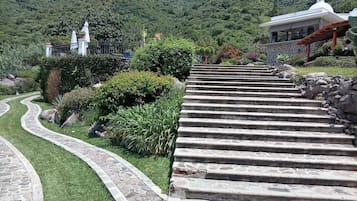 Área da propriedade