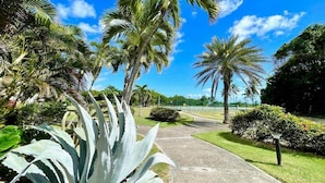 A pathway lined with palm trees and agave plants, leading to a grassy area with a clear blue sky.