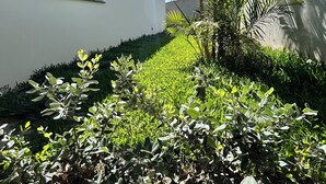Un edificio moderno con fachada blanca, un sendero estrecho bordeado de plantas verdes y una palmera al fondo.