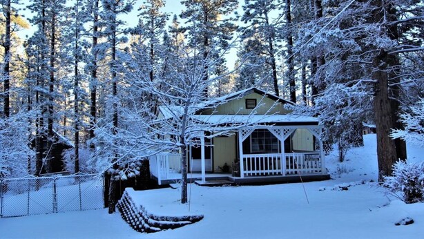 Una cabaña rodeada de árboles cubiertos de nieve.