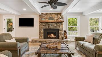 Smart TV, fireplace, books