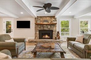 Smart TV, fireplace, books