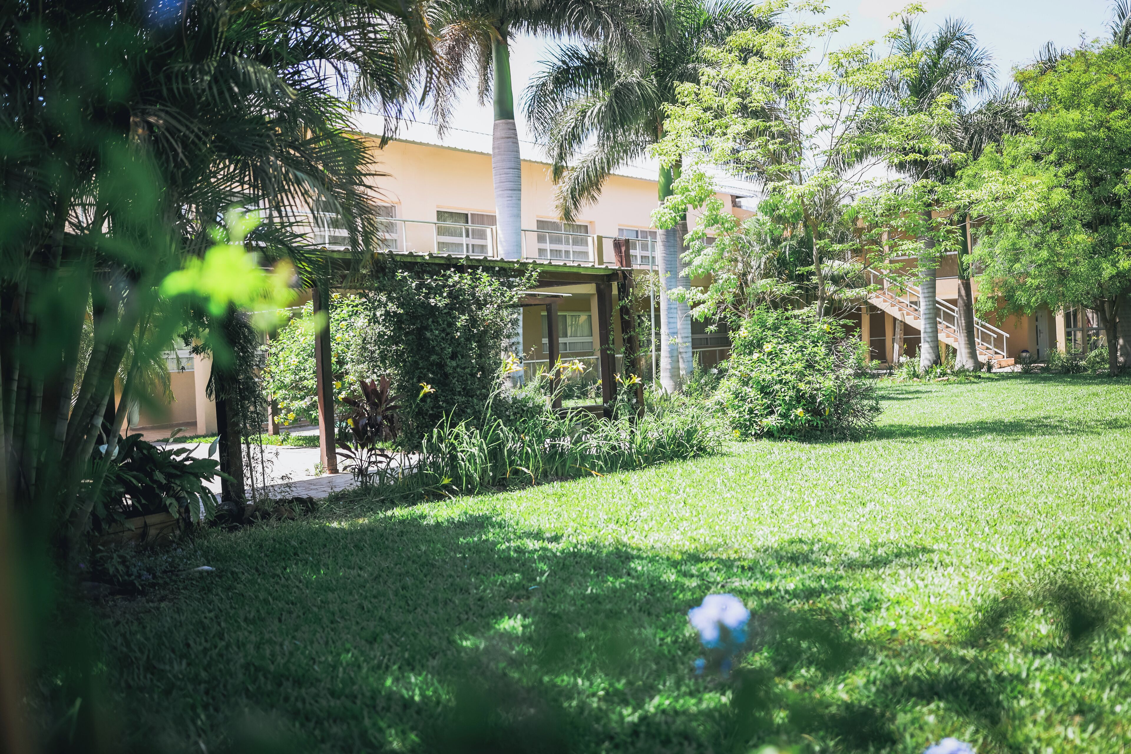 A lush garden with a building featuring a covered patio and a staircase.