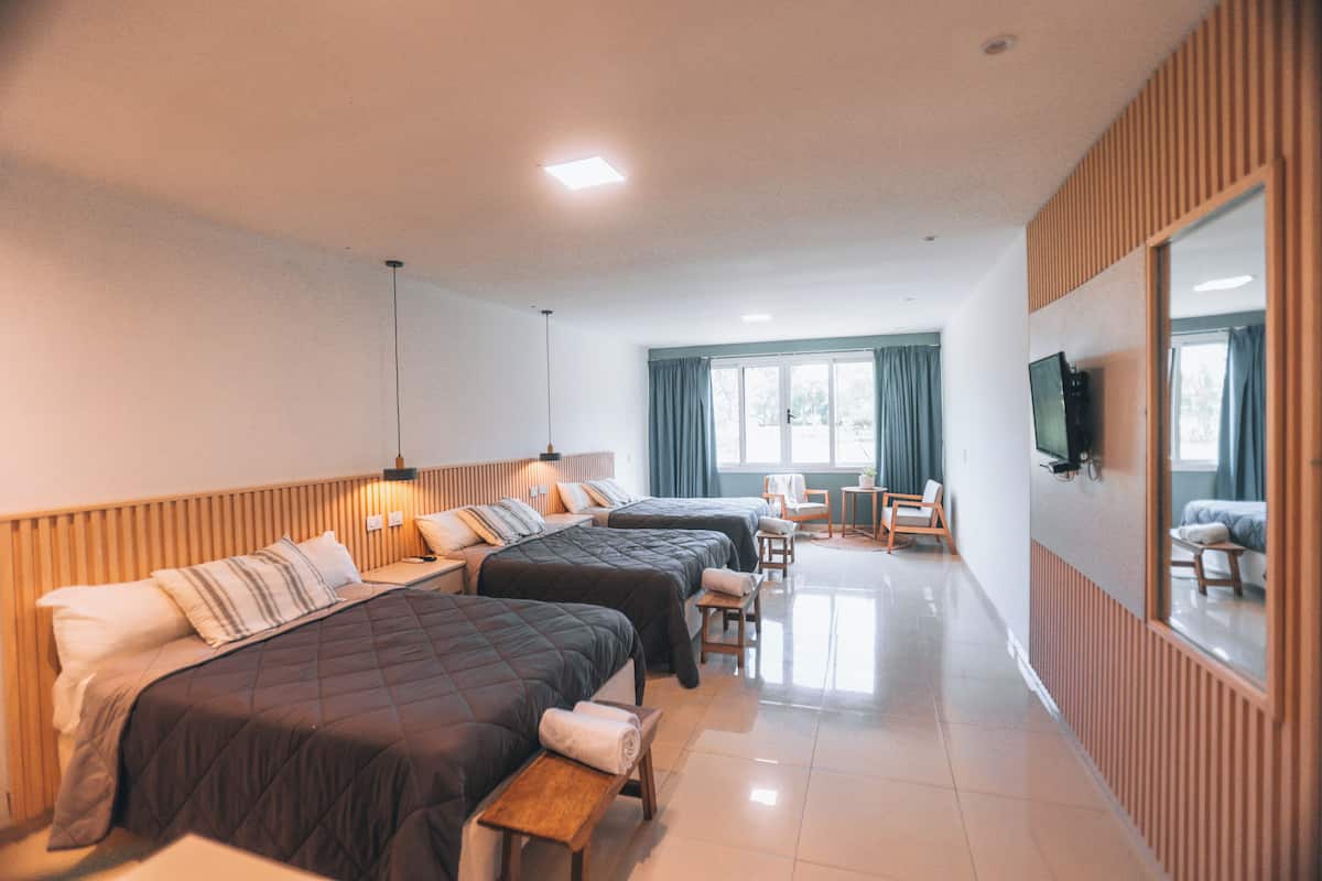 Habitación triple Deluxe, vistas al parque | Minibar, caja fuerte, tabla de planchar con plancha y wifi gratis