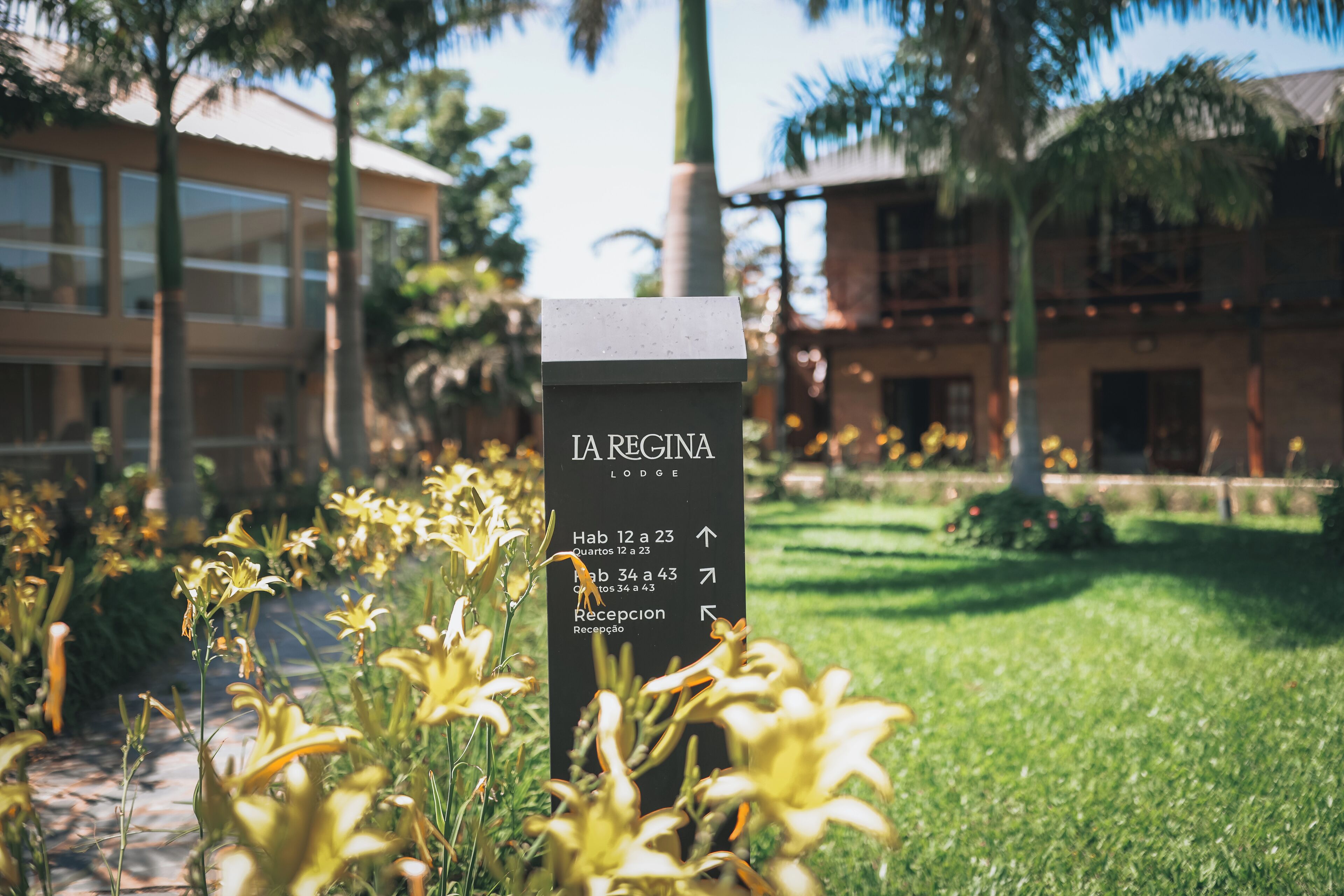 Segnaletica per La Regina Lodge con frecce direzionali per le camere e la reception.