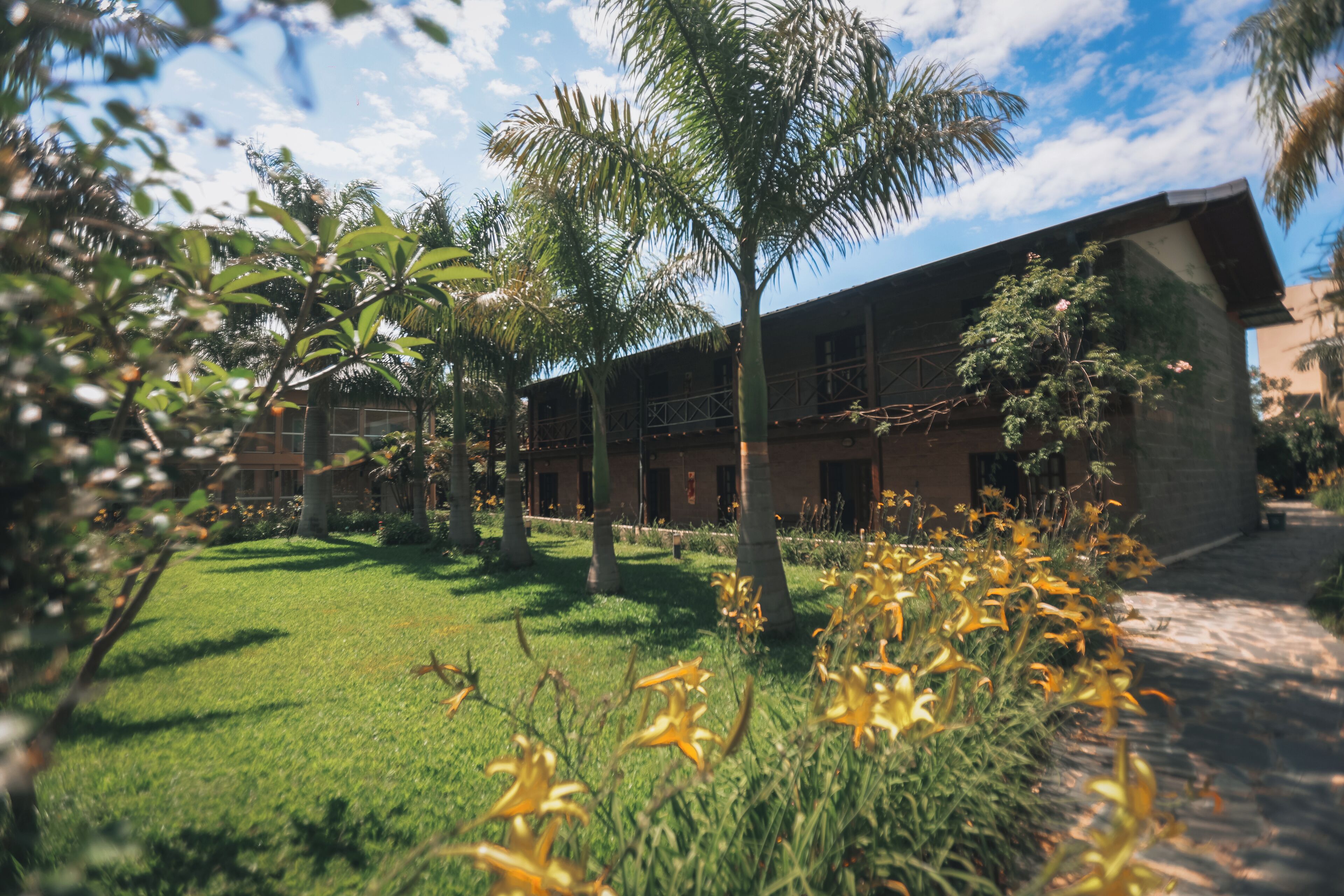 A courtyard with a building, palm trees, and yellow flowers.