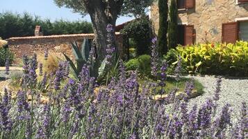 Jardines del alojamiento