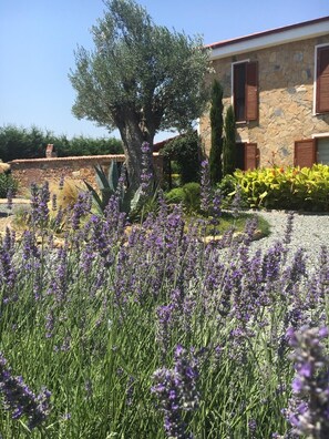 Áreas de la propiedad