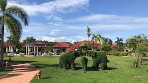 A well-maintained garden with a paved walkway, palm trees, and a unique topiary sculpture.