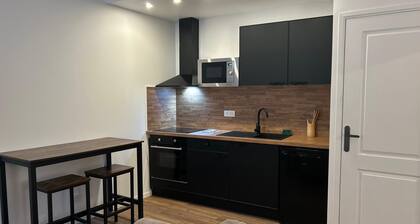 Appartement de charme F2 Nßmes écussons / hypercentre