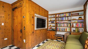 Smart TV, fireplace, books