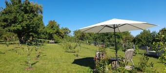 Specially equipped mini-apartment