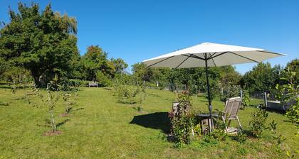 Specially equipped mini-apartment