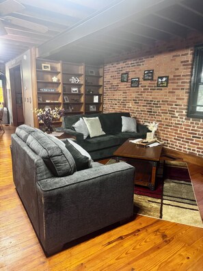 Smart TV, fireplace, books