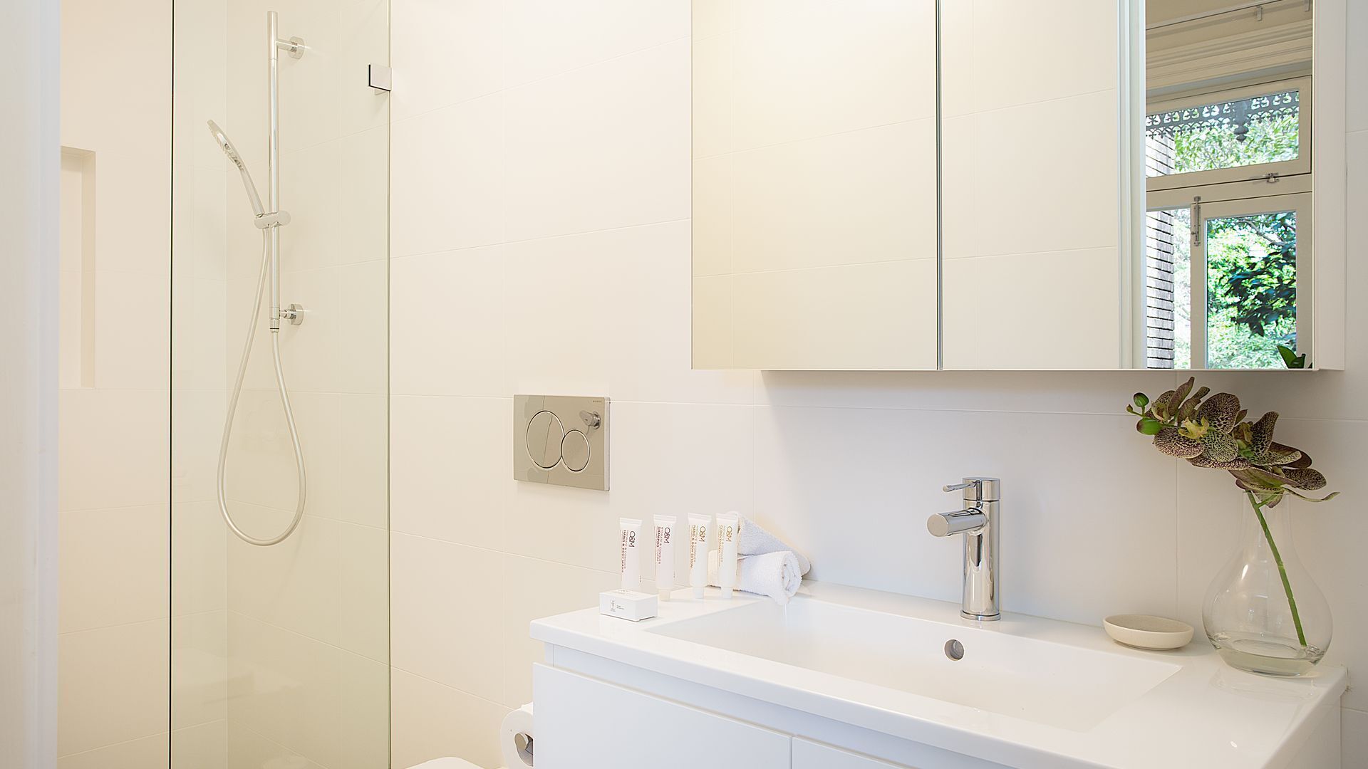 Shower, hair dryer, towels