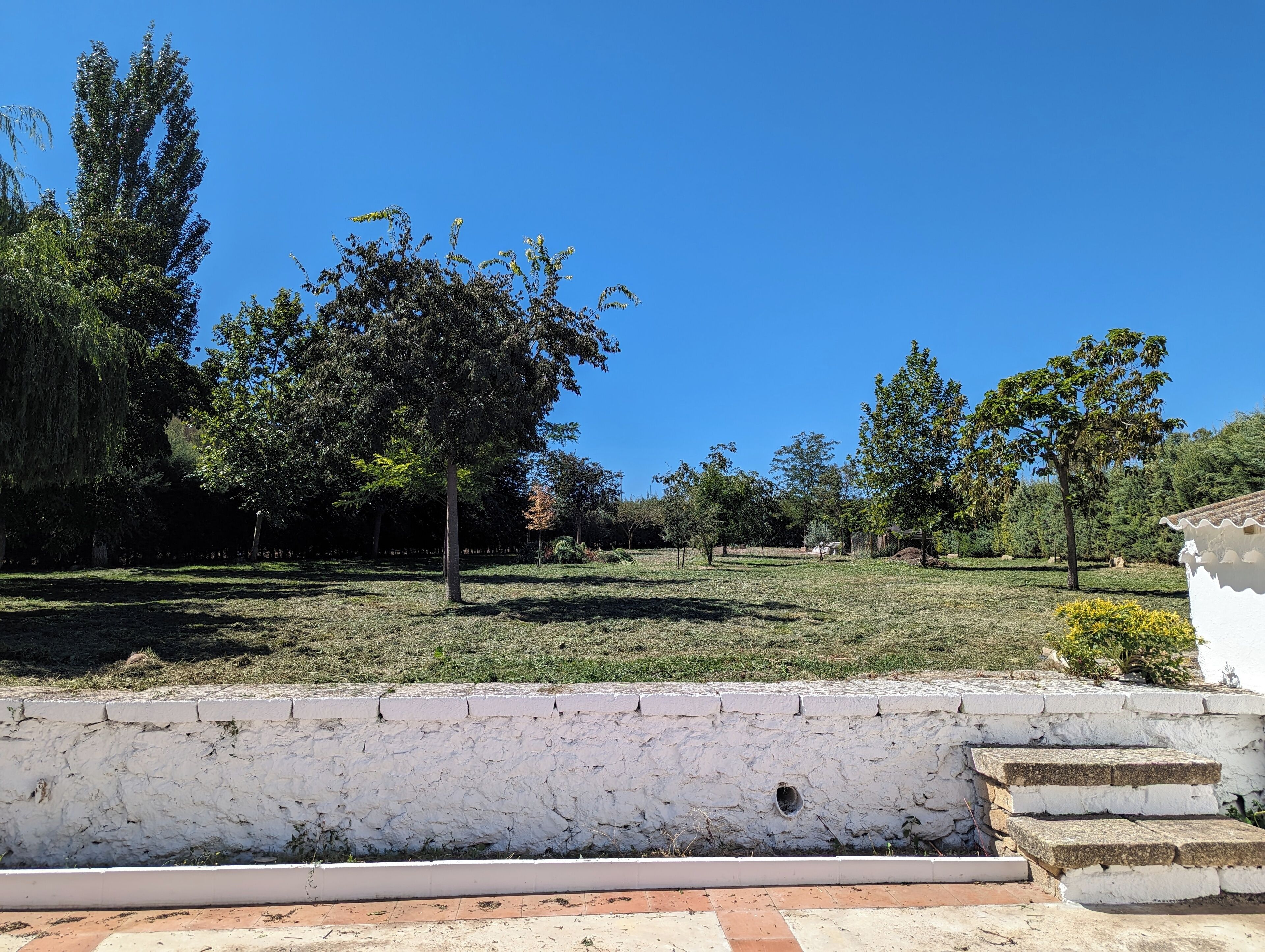 المنطقة المحيطة بالمنشأة