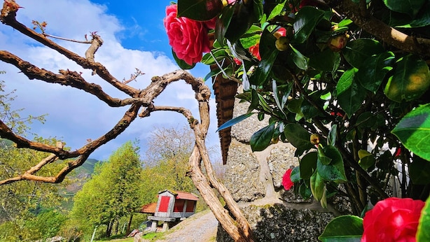 Un edificio de piedra rústico con techo rojo, rodeado de abundante vegetación y un cielo azul despejado.