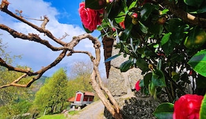 A rustic stone building with a red roof, surrounded by lush greenery and a clear blue sky.