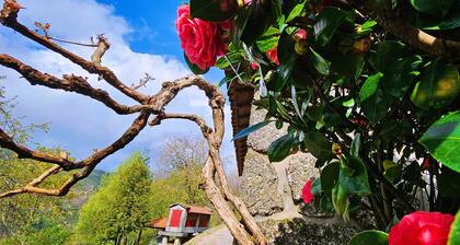 Casa das Cerejeiras near Gerês