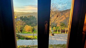 Vista a través de una ventana con puerta de madera, mostrando un área pavimentada con árboles y un edificio distante.