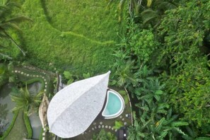 An aerial view of a lush garden with a swimming pool, surrounded by dense greenery and palm trees.