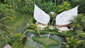 Un complexe hôtelier tropical doté de deux grandes structures en forme de feuilles, entourées d’une végétation luxuriante et d’un bassin central.