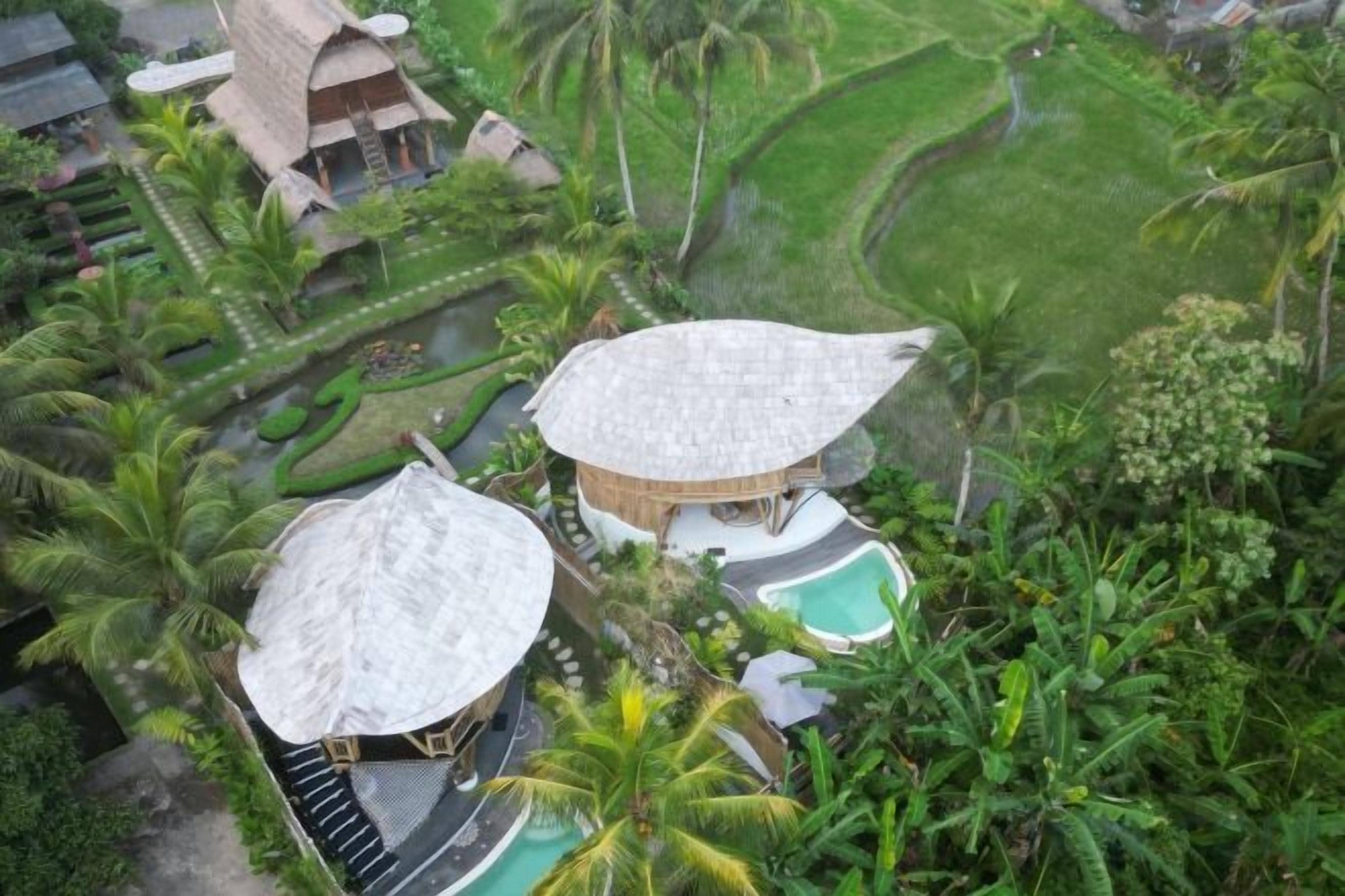 A resort with thatched-roof structures, a swimming pool, and lush greenery.