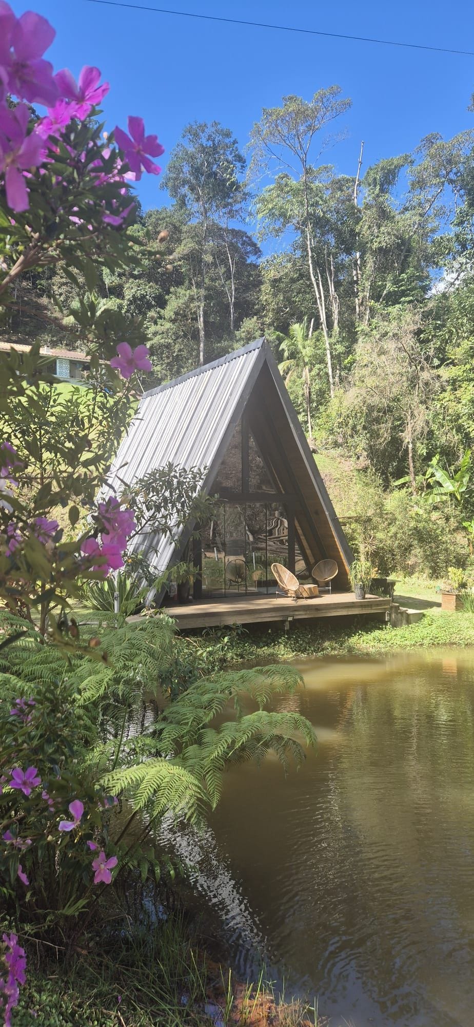 Una pequeña estructura triangular de madera con cerramiento de vidrio, ubicada junto a un estanque tranquilo rodeado de exuberante follaje y plantas florecientes.